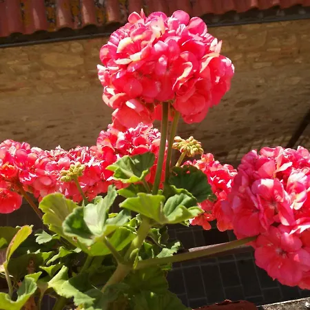Vendégház La Foresteria Umbria