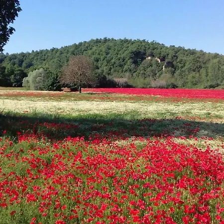 La Foresteria Umbria Vendégház Piegaro